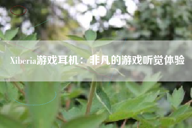 Xiberia游戏耳机：非凡的游戏听觉体验