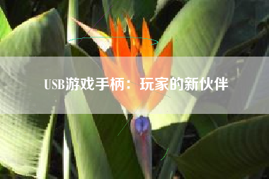 USB游戏手柄：玩家的新伙伴