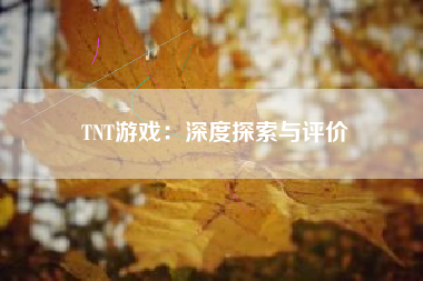 TNT游戏：深度探索与评价