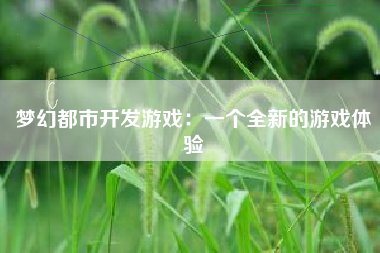 梦幻都市开发游戏：一个全新的游戏体验