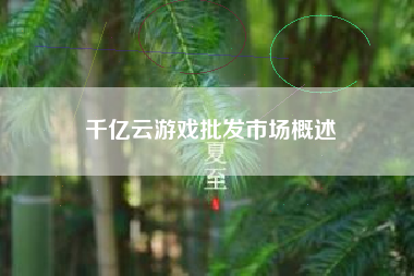 千亿云游戏批发市场概述