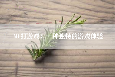 MC打游戏：一种独特的游戏体验