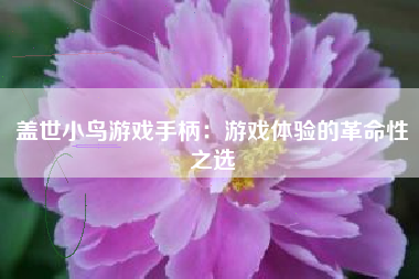 盖世小鸟游戏手柄：游戏体验的革命性之选