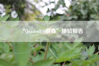 “Quadro410游戏”体验报告