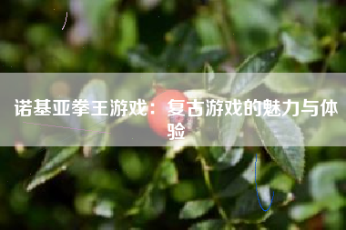 诺基亚拳王游戏：复古游戏的魅力与体验