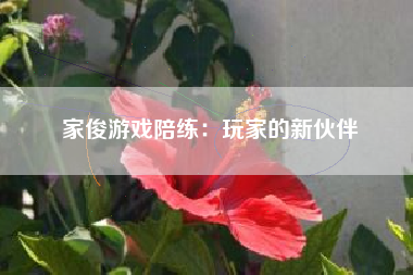 家俊游戏陪练：玩家的新伙伴