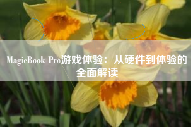 MagicBook Pro游戏体验：从硬件到体验的全面解读