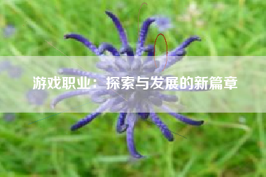 游戏职业：探索与发展的新篇章