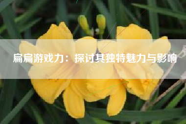 扁扁游戏力：探讨其独特魅力与影响