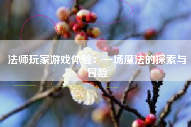 法师玩家游戏体验：一场魔法的探索与冒险