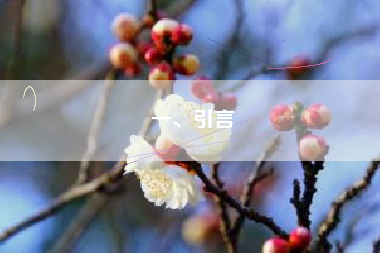 一、引言
