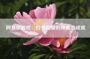 网易做游戏：行业巨擘的探索与成就