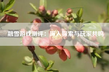 融雪游戏测评：深入探索与玩家共鸣