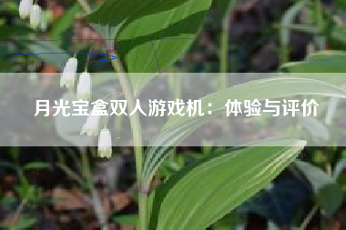 月光宝盒双人游戏机：体验与评价