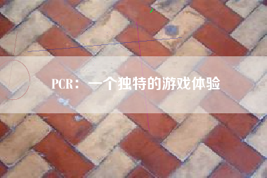 PCR：一个独特的游戏体验