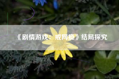 《剧情游戏：戒网瘾》结局探究