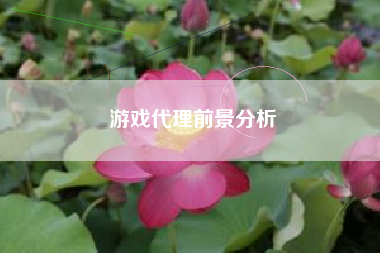 游戏代理前景分析