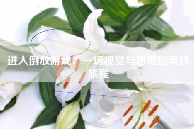 进入倒放游戏：一场视觉与思维的奇妙旅程