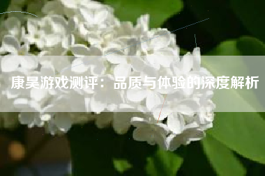 康昊游戏测评：品质与体验的深度解析