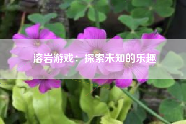 溶岩游戏：探索未知的乐趣