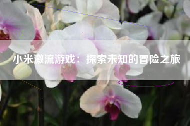 小米激流游戏：探索未知的冒险之旅