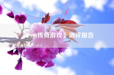 《996传奇游戏》测评报告