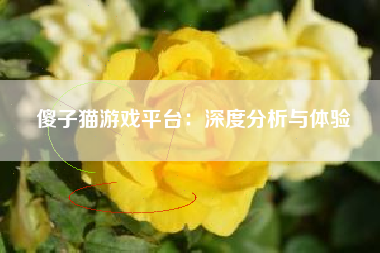 傻子猫游戏平台：深度分析与体验