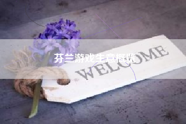 芬兰游戏生意概览