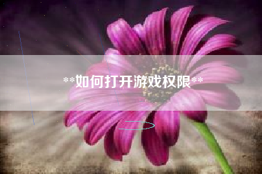 **如何打开游戏权限**