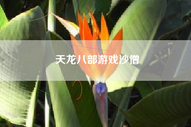 天龙八部游戏沙僧