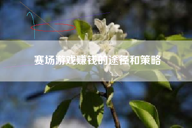 赛场游戏赚钱的途径和策略