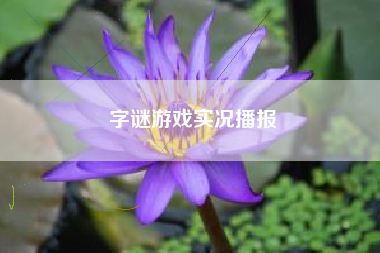 字谜游戏实况播报