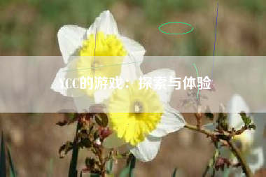 YCC的游戏：探索与体验