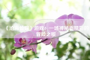《沧海仙踪》游戏：一场神秘而精彩的冒险之旅