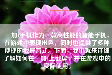 一加1手机作为一款高性能的智能手机，在游戏中表现出色，同时也提供了多种便捷的截屏方式。下面，我们就来详细了解如何在一加1上截屏，并在游戏中的实际使用。