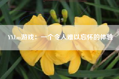 YXLm游戏：一个令人难以忘怀的体验