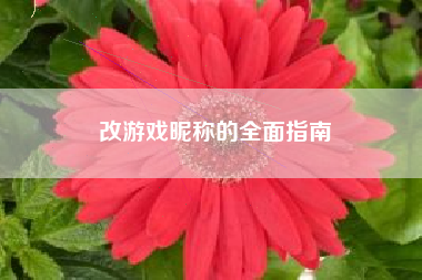 改游戏昵称的全面指南