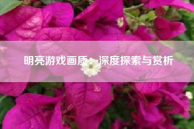 明亮游戏画质：深度探索与赏析