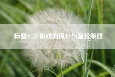 标题：汐游戏的保存与备份策略