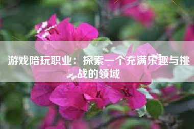 游戏陪玩职业：探索一个充满乐趣与挑战的领域