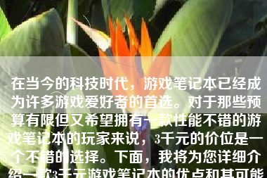 在当今的科技时代，游戏笔记本已经成为许多游戏爱好者的首选。对于那些预算有限但又希望拥有一款性能不错的游戏笔记本的玩家来说，3千元的价位是一个不错的选择。下面，我将为您详细介绍一款3千元游戏笔记本的优点和其可能的表现。