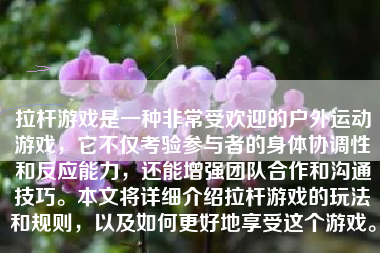 拉杆游戏是一种非常受欢迎的户外运动游戏，它不仅考验参与者的身体协调性和反应能力，还能增强团队合作和沟通技巧。本文将详细介绍拉杆游戏的玩法和规则，以及如何更好地享受这个游戏。