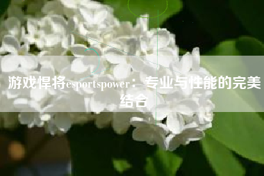 游戏悍将esportspower：专业与性能的完美结合