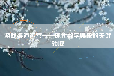 游戏渠道运营——现代数字娱乐的关键领域