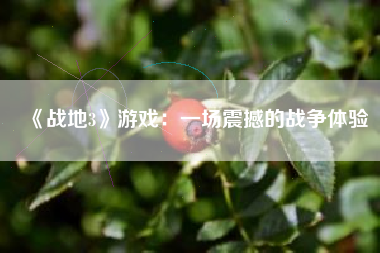 《战地3》游戏：一场震撼的战争体验