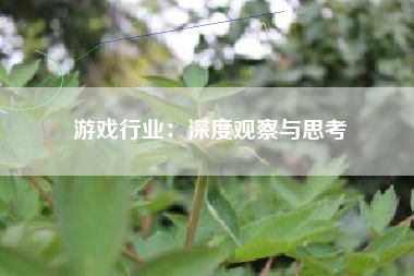 游戏行业：深度观察与思考