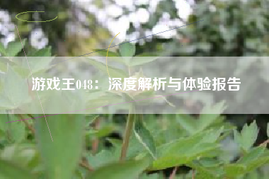 游戏王048：深度解析与体验报告