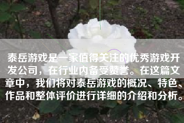 泰岳游戏是一家值得关注的优秀游戏开发公司，在行业内备受赞誉。在这篇文章中，我们将对泰岳游戏的概况、特色、作品和整体评价进行详细的介绍和分析。