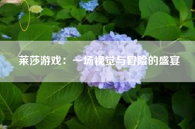 莱莎游戏：一场视觉与冒险的盛宴