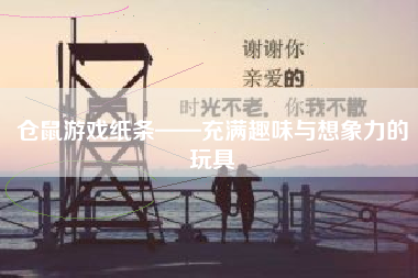 仓鼠游戏纸条——充满趣味与想象力的玩具